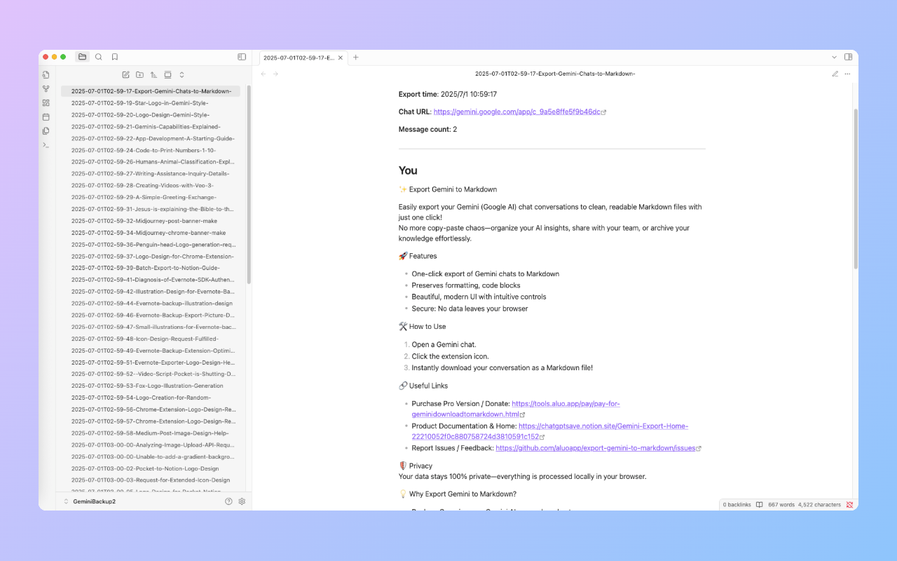 Gemini Interface
